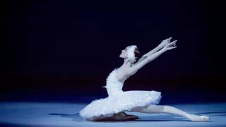 [HD Ballet] [The World's First White Swan] Pure Body - "The Dying Swan" Uliana Lopatkina Tokyo Tour 