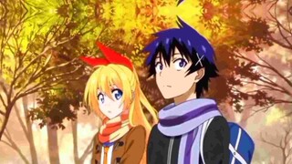 [Anime]-Nisekoi