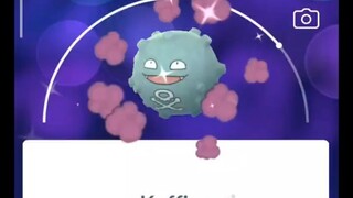 Pokémon GO-Evolving Shiny Koffing Into Galarian Weezing