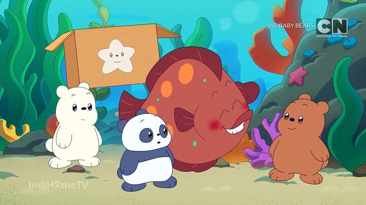 Cartoon Network Asia - We Baby Bears ( 14 Desember 2025 | LIVE