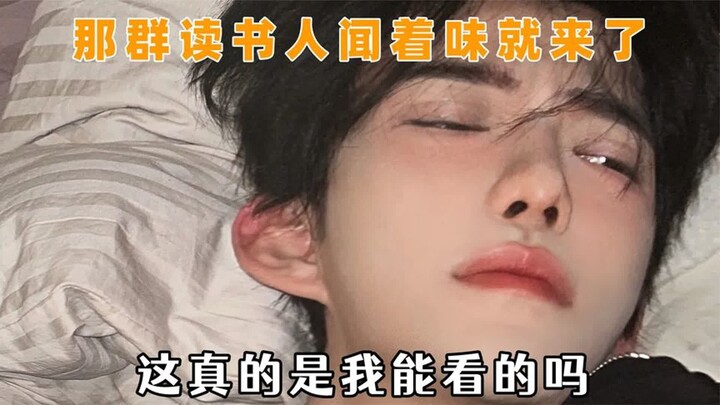网络文学鉴赏家们不得立马闻着味就来：谁还没看过猫和老鼠拟人化