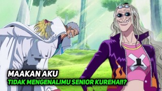 INI DIA SOSOK LEGENDA SEBENARNYA DI DUNIA ONE PIECE!!?😱