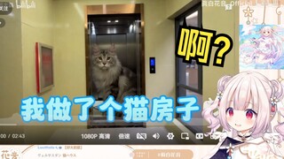 日本萝莉看《花了半年时间给猫做了个房子》被震撼到了