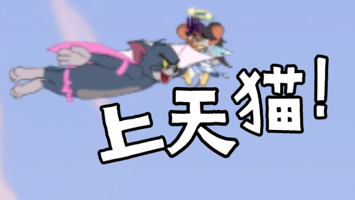 [猫和老鼠]上天！猫就够了！