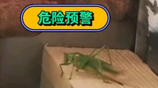 Thanh tiến trình cố lên, nghe bài hát đã.