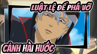 Luật Lệ Để Phá Vỡ| 1 lần mỗi ngày, căng thẳng sẽ biến đi mất!（Cảnh hài hước）