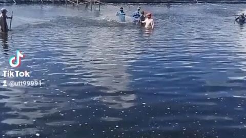 miền Tây quê tôi