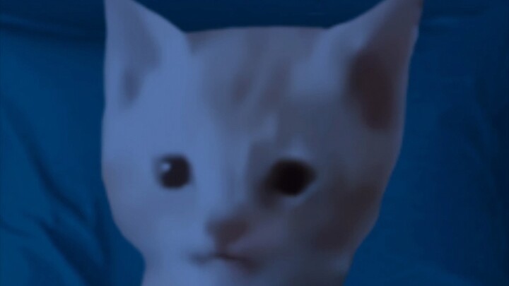 Video: 🐱🐱 Penonton: 🐱