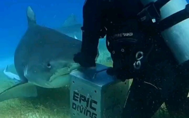 سأجربه الآن مباشرة، وسأعود غدًا لأطلعكم على التحديثات...