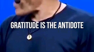 Gratitude is the antidote Tiktok-IG-YT: success1.0.1