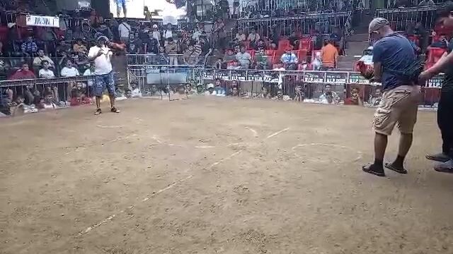 4x winner roundhead sweater, malaki mataas kalaban