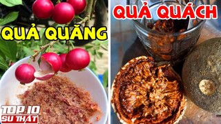 10 Loại Trái Cây Cực Hiếm Tại Việt Nam mà Bạn Cứ Ngỡ Không Tồn Tại | Top 10 Sự Thật Thú Vị