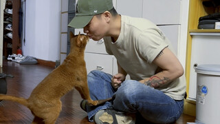 Hari kedelapan bulan pertama: Pengetahuan masuk ke dalam otakku dengan cara yang aneh