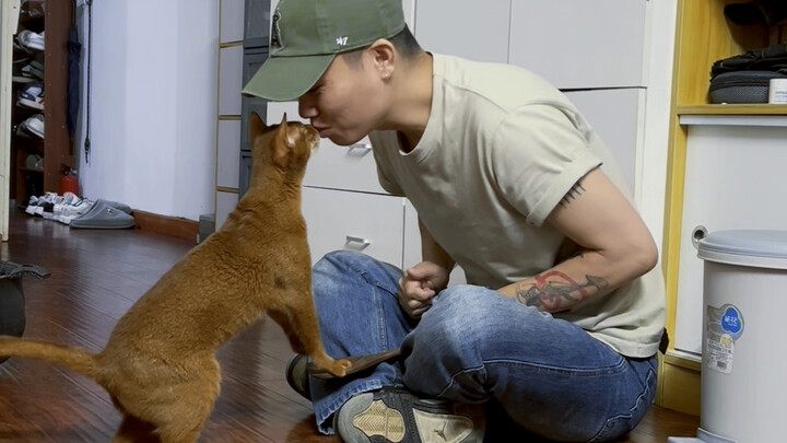 初八：知识以一种奇怪的方式进入我的脑袋