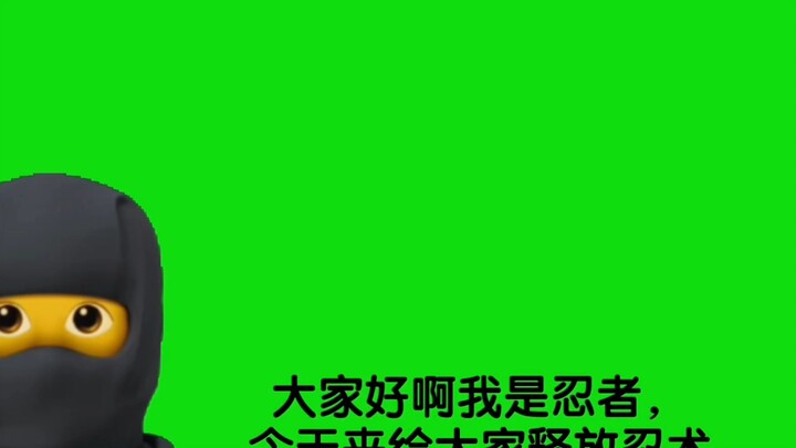 （二补）新（变换系）忍术：立希??