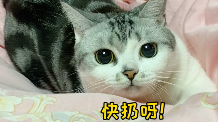 Help! She actually understood! Too cute! Haha!