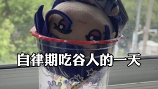 自律期吃谷人的一日三餐
