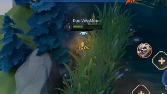 gấu này hơi ảo