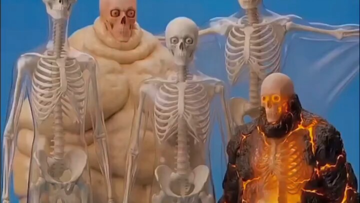 What if humans evolved on different planets?