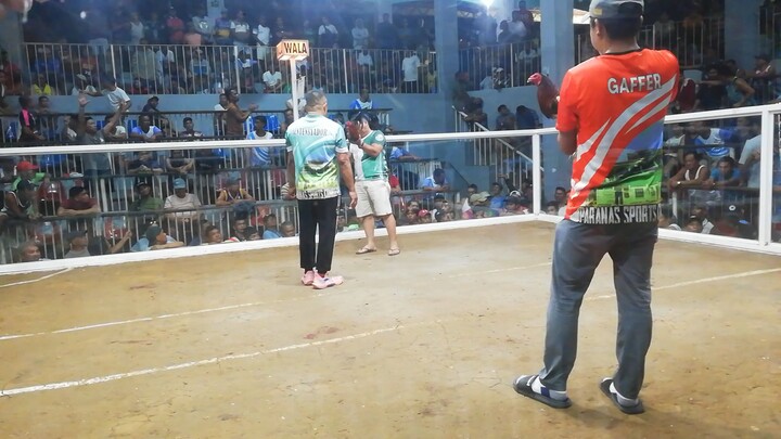 4 times WIN MELSIM BLACK