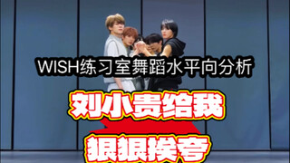 【NCT WISH】他们真的是拖后腿的最后一个分队吗？看完视频给你答案！非专业WISH练习室舞蹈向分析