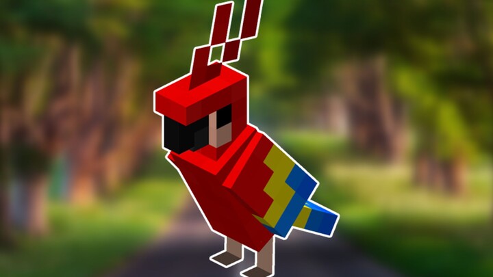 Cool Facts and Traits About Parrots You Might Not Know!