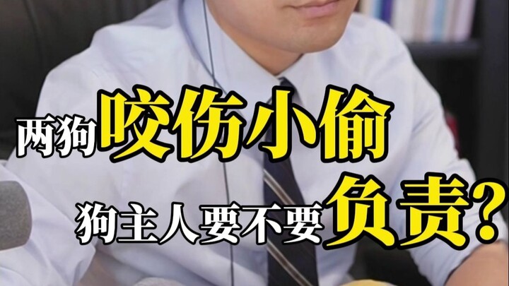 كلبان يعضان لصًّا؟ هل العض سيمنعه من أن يصبح لصًّا مدى الحياة؟