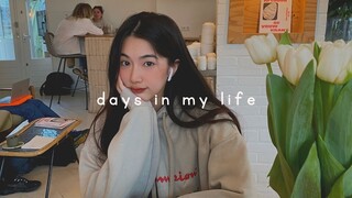 du học hà lan | cuối tuần với tui | zoo vlog, cafe hopping in amsterdam