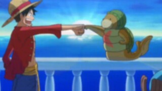 路飞的徒弟，感觉比克比强多了