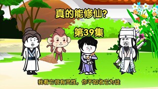 【真的能修仙？】第39集，师弟金焱