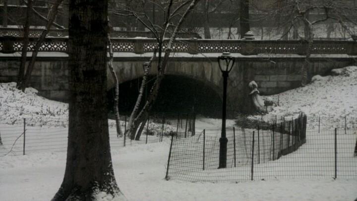 Birth(2004)