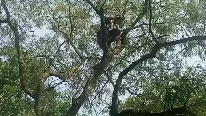 লাগলে ফলো দিয়ে কমেন্ট করুন