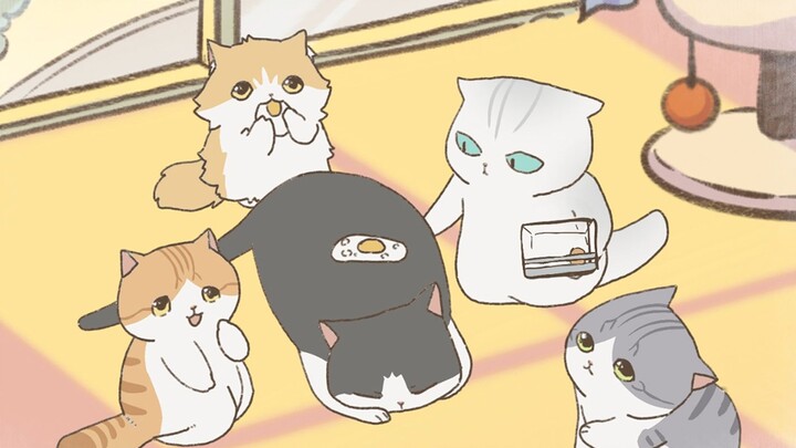 Animasi kucing-kucing yang lucu