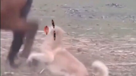 I’m just reading way too much into it, guys.