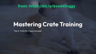 Mastering Crate Training - Tips and Tricks for Your Puppy's Success