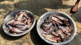 আমাদের পুকুরের মাছ || চাঁদপুর এসে অনেক মজা করছি আমরা || Ms Bangladeshi Vlogs ll