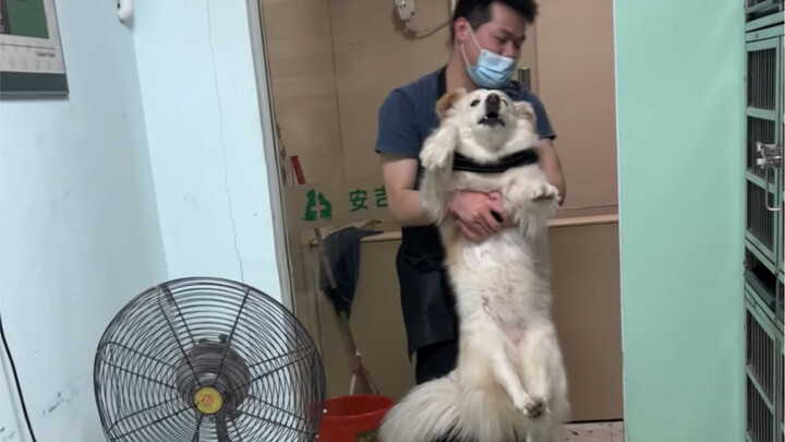 Bathing Guy: My little darling, oh dear!