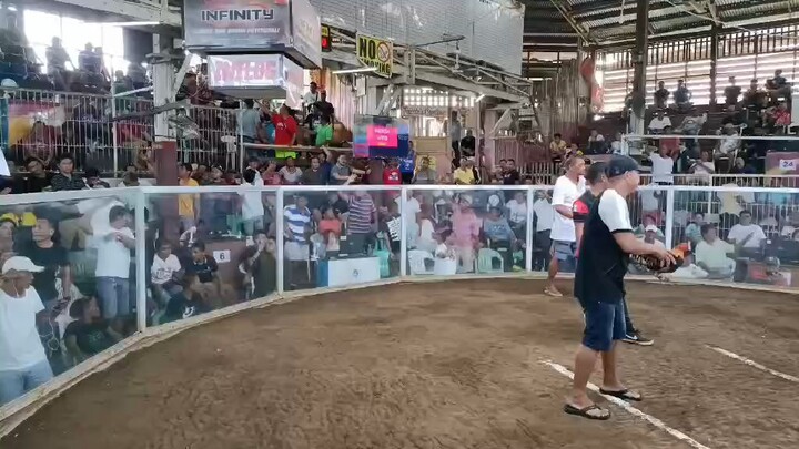 2025 Sabayan 8 stag elims 2nd fight - loss