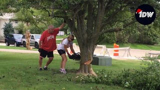 TOTAL IDIOTS AT WORK #90 | Bad day at work | Tree cutting fails compilation