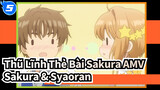[Thũ Lĩnh Thẻ Bài Sakura AMV] Sakura & Syaoran xuất hiện / Bản trong suốt 6-9_5