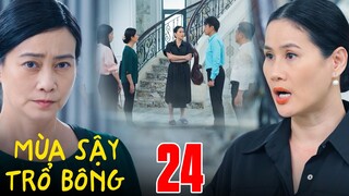 MÙA SẬY TRỔ BÔNG tập 24 | bà Huệ chấp nhận TRẮNG TAY để bảo tòa tính mạng cho con trai