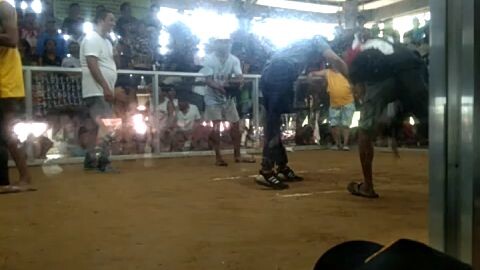 panalo nanaman pula namin