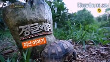 law of the jungle ep 46