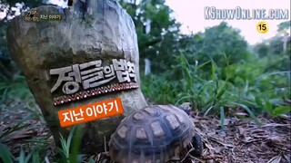 law of the jungle ep 46