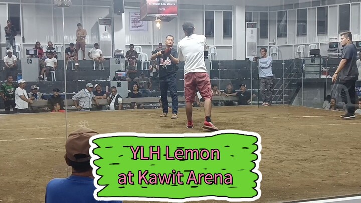 YLH Lemon | Dec 2024