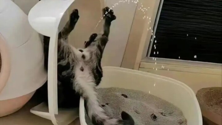 Cute for three years, ignored by everyone; embarrassing once, and the whole world knows!