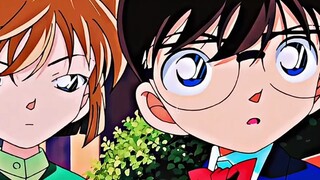Gin: Shirley, even if you turn into ashes, I will recognize you# Detective Conan