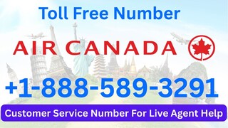 Complete℠ {(Quick List}} of Turkish AirlinesⓃ CUSTOMER© SERVICE℗ (24/7 Live Person Support) Numbers