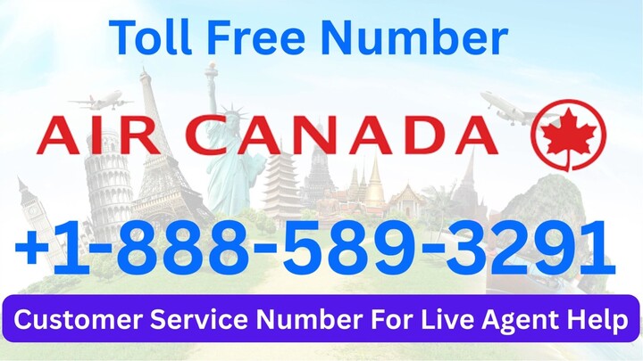 Copa Airlines®️®️ Customers®️ USA Contact Numbers{+1-888-(589)-3291}: Your Complete Guide