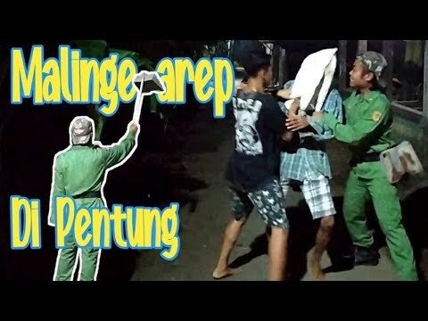 Maling Apes || Film pendek purworejo